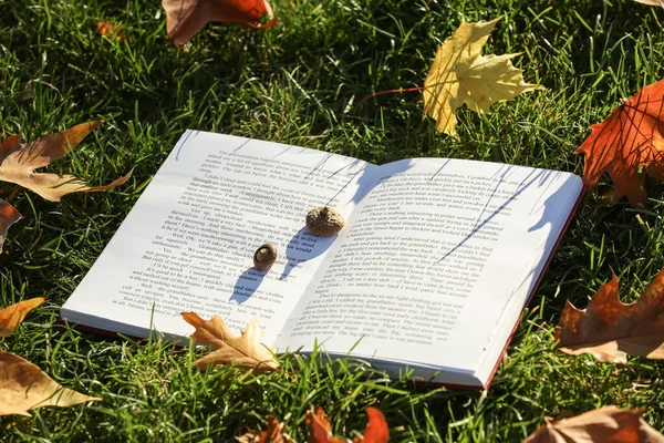 秋の葉を持つ草の上に本やアコーンを開く — ストック写真