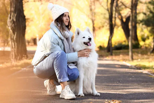 秋の公園で美しいサモイド犬と若い女性 — ストック写真