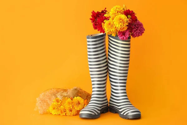 Пара Резиновых Сапог Красивые Осенние Цветы Цветном Фоне — стоковое фото