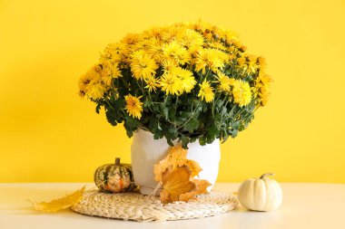 Sarı duvarın yanındaki masada güzel kasımpatı çiçekleri olan tencere.