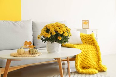 Odada güzel kasımpatı çiçekleri olan tencere.