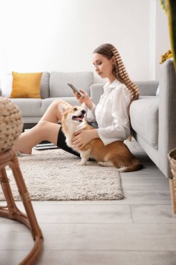 Evde cep telefonu kullanan sevimli Corgi köpeği olan genç bir kadın.