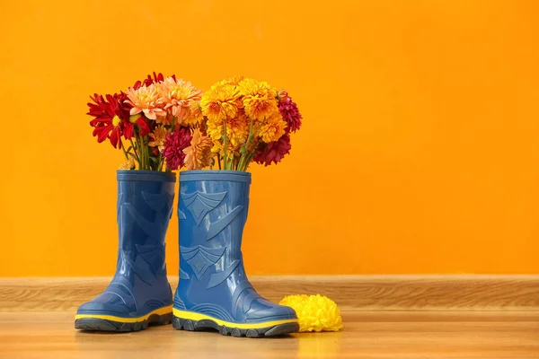 Rubber Boots Beautiful Chrysanthemum Flowers Floor Color Wall — Stock Photo, Image