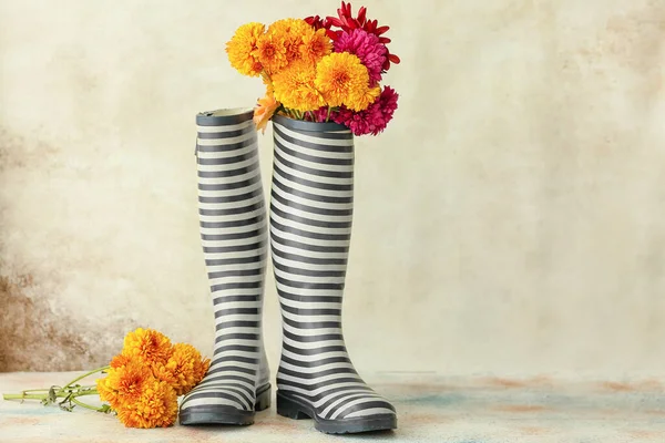 Rubber Boots Beautiful Chrysanthemum Flowers Light Background — Stock Photo, Image