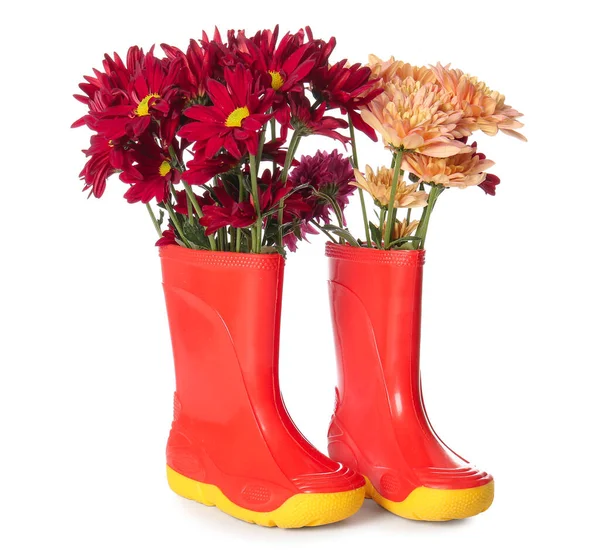 stock image Rubber boots and beautiful autumn flowers on white background