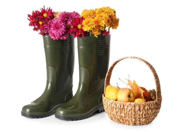 Rubber Boots Basket Apples Flowers White Background — Stock Photo, Image