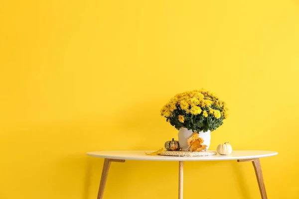 Pot Beautiful Chrysanthemum Flowers Table Yellow Wall — Stock Photo, Image