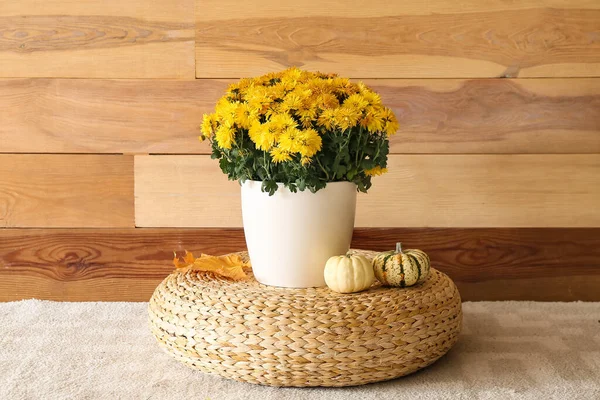 Pot Beautiful Chrysanthemum Flowers Pouf Wooden Wall — Stock Photo, Image