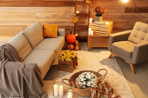 Interiér Moderního Obývacího Pokoje Pohodlnou Pohovkou Křeslem Květy Chryzantémy — Stock fotografie