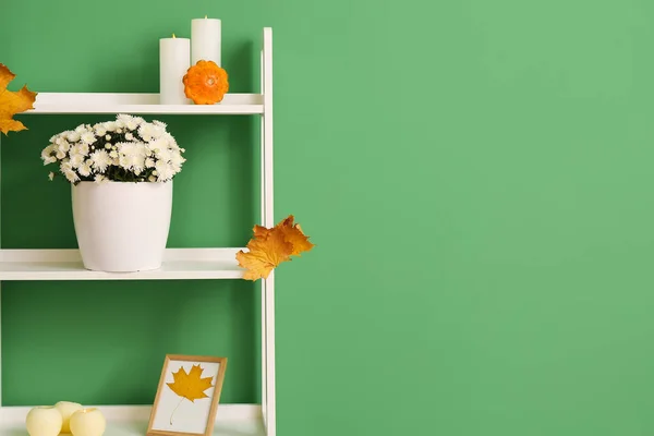 Pot Gyönyörű Krizantém Virágok Őszi Dekoráció Polcokon Közelében Zöld Fal — Stock Fotó
