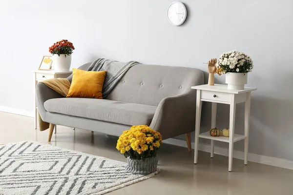 Interior Moderna Sala Estar Com Sofá Confortável Flores Crisântemo — Fotografia de Stock
