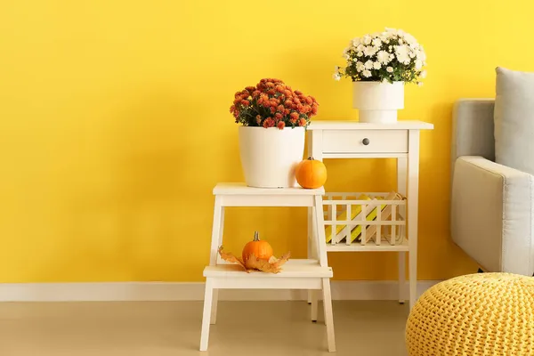 Hrnec Krásnými Květy Chryzantémy Blízkosti Žluté Stěny — Stock fotografie