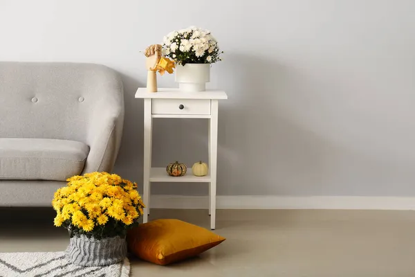 美しい菊の花と光の壁の近くの快適なソファを持つポット — ストック写真