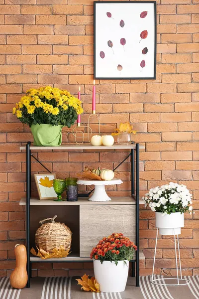 Pots Beautiful Chrysanthemum Flowers Shelves Decor Elements Brick Wall — Stock Photo, Image