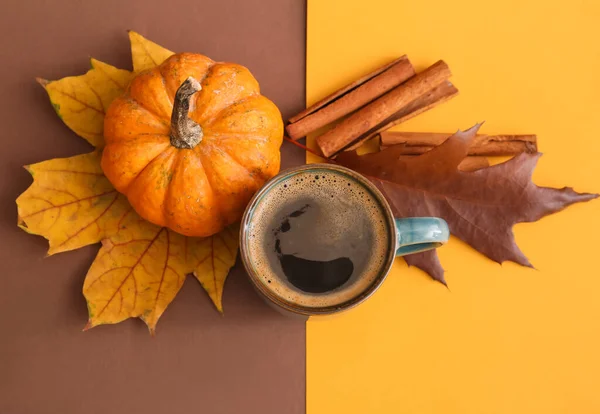Cup Tasty Pumpkin Coffee Color Background — Stock Photo, Image
