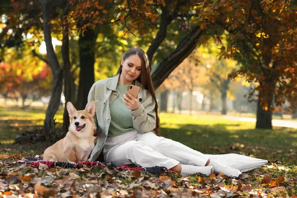 秋の公園で携帯電話を使って可愛いコルギ犬を持つ若い女性 — ストック写真