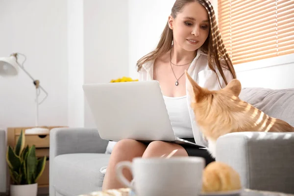Young Woman Cute Corgi Dog Using Laptop Sofa Home — Stock Photo, Image