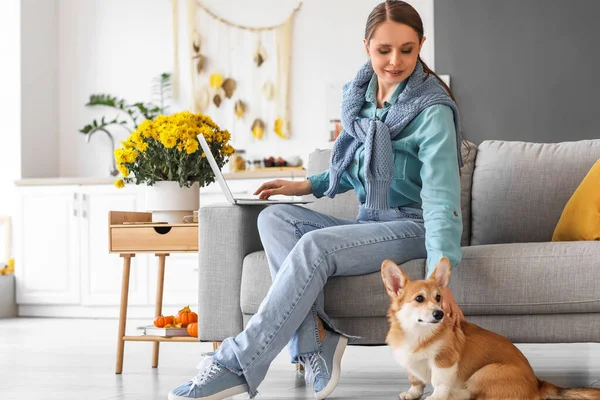 Young Woman Cute Corgi Dog Using Laptop Sofa Home — Stock Photo, Image