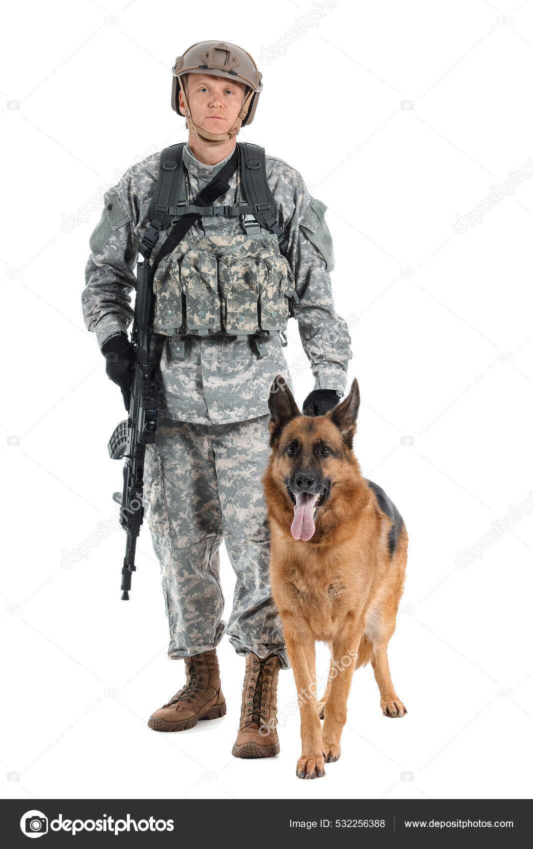 Soldier Military Working Dog White Background — Stock Photo