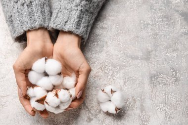 Grunge arka planında pamuk çiçekli kadın elleri