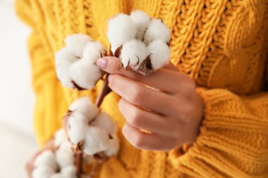 Güzel pamuk çiçeklerinden bir dal tutan genç kadın, yakın plan.