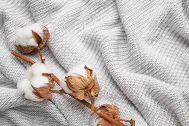 Hafif örülmüş kumaş zemin üzerinde güzel pamuk çiçekleri olan bir dal.