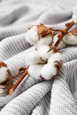 Hafif örülmüş kumaş zemin üzerinde güzel pamuk çiçekleri olan bir dal, yakın plan.