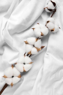 Beyaz kumaş arkaplanda pamuk çiçekleri