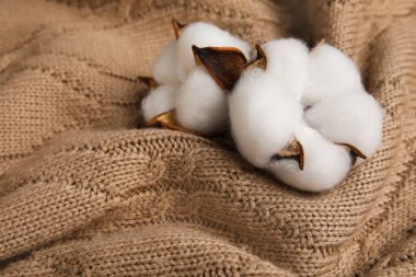 Kumaş arkaplanda yumuşak pamuk çiçekleri