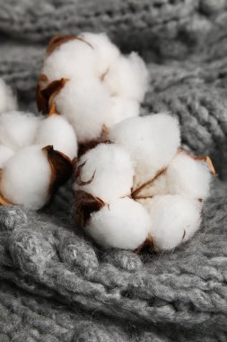 Gri örgü kumaş arka planda güzel pamuk çiçekleri, yakın plan