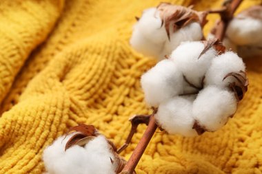 Yumuşak pamuk çiçeklerinin dalları örülmüş kumaş arka planda, yakın plan