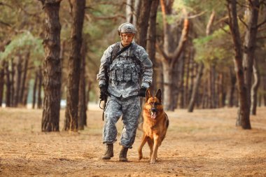 Askeri çalışan köpek açık havada asker