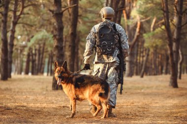 Askeri çalışan köpek açık havada asker