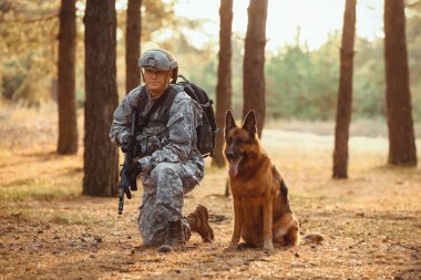 Dışarıdaki savaş sırasında askeriyede çalışan köpeği olan bir asker.