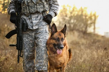 Askeri çalışan köpek açık havada asker