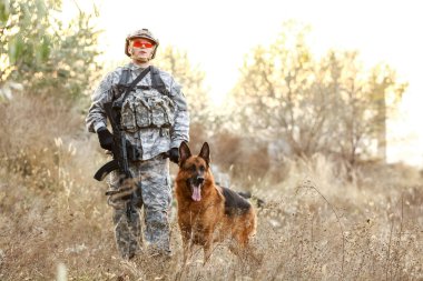 Askeri çalışan köpek açık havada asker