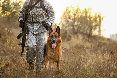 Askeri çalışan köpek açık havada asker