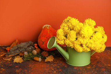 Kahverengi arka planda güzel kasımpatı çiçekleri olan bir teneke kutu suluyorum.