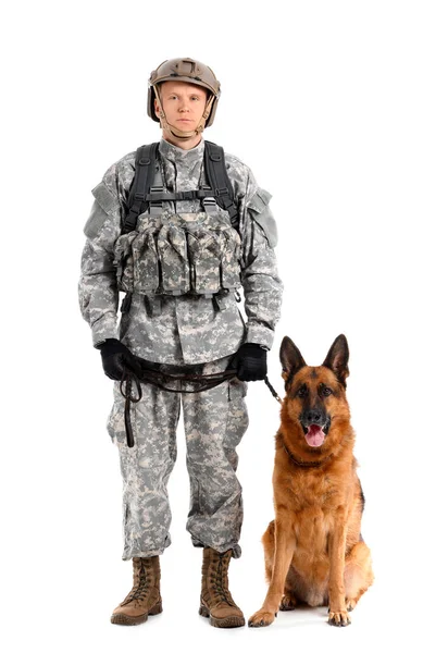 Soldier Military Working Dog White Background — Stock Photo, Image