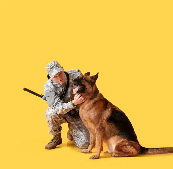 Soldier Military Working Dog Color Background — Stock Photo, Image
