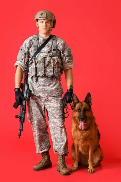 Katona Katonai Dolgozó Kutya Színes Háttér — Stock Fotó