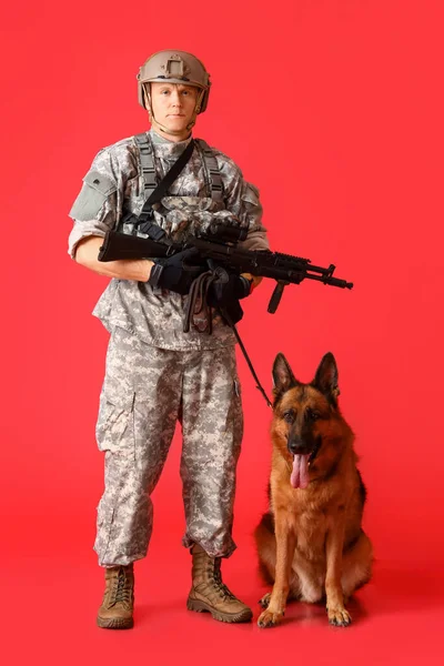 軍用作業犬を背景に兵士 — ストック写真