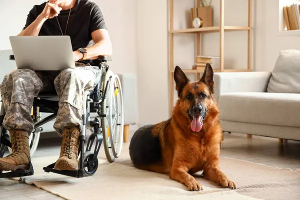 Soldat Der Armee Rollstuhl Und Sein Hund Hause — Stockfoto