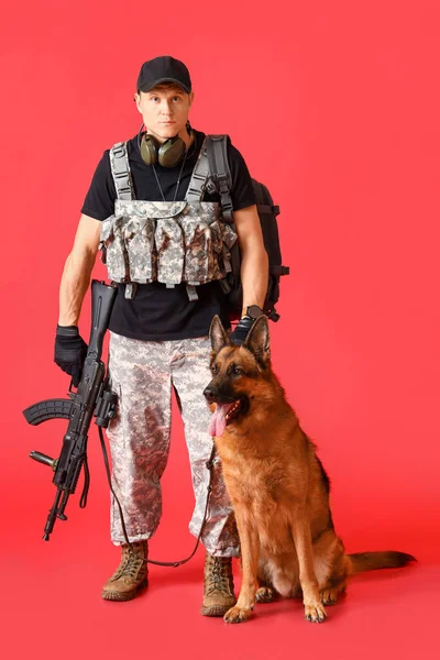 軍用作業犬を背景に兵士 — ストック写真