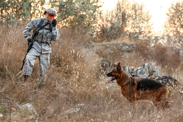 Soldier Military Working Dog Combat Operation Outdoors — Stock Photo, Image