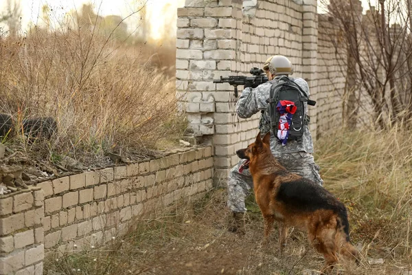 Soldado Con Perro Trabajo Militar Durante Operación Combate Aire Libre — Foto de Stock
