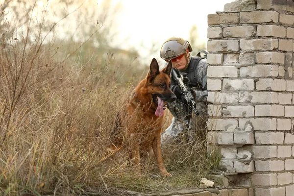 Soldado Con Perro Trabajo Militar Durante Operación Combate Aire Libre — Foto de Stock