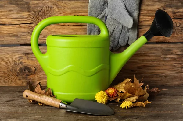 Watering Can Beautiful Chrysanthemum Flowers Shovel Wooden Background — Stock Photo, Image