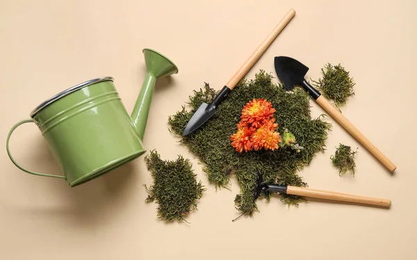 Bej arka planda yosun ve bahçe araçları ile su kutusu