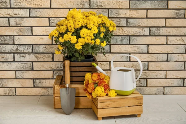 Watering Can Beautiful Chrysanthemum Flowers Shovel Floor Brick Wall — Stock Photo, Image